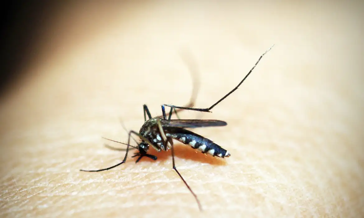 Dengue: Minas tem aumento de 34% de casos confirmados em uma semana